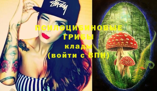 скорость Новодвинск